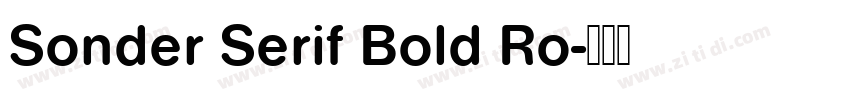 Sonder Serif Bold Ro字体转换
